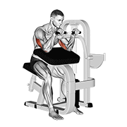 Triceps Extension Machine