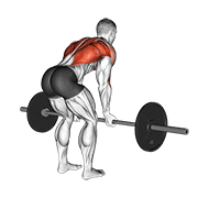 Reverse Grip Barbell Row