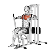 Chest Press Machine