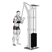 Reverse Cable Triceps Extension