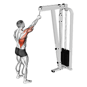 One Arm Lat Pulldown