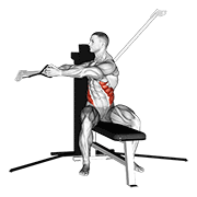 Cable Trunk Rotation