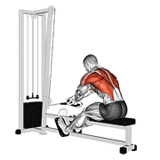 Seated Crossover Cable Row