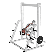 Smith Machine Deadlift