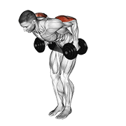 Dumbbell Kickback