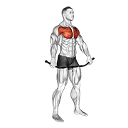 Chest and Shoulder Stretch