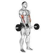 Close Grip EZ Bar Curl