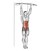 Hanging Knee Raise