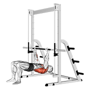 Smith Machine Inverted Row Torso