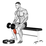 Seated Dumbbell Calf Raise