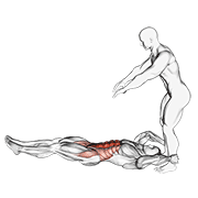 Push-up Leg Raise