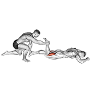Assisted Hamstring Stretch