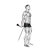 Behind the Back Cable Wrist Curl