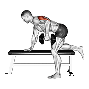 Bench Dumbbell Kickback