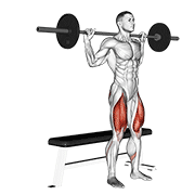 Barbell Squat on Bench