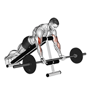 Barbell Spider Curl