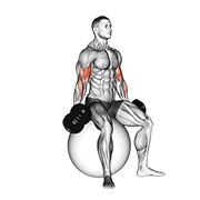 Stability Ball Dumbbell Curl