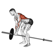 Bent Over Row Machine