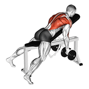 Lying Dumbbell Row