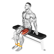 Band Leg Extension