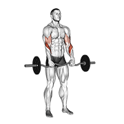 Reverse EZ Bar Curl