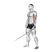 One Arm Cable Curl