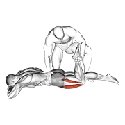 Assisted Prone Quad Stretch