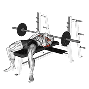 Reverse Close Grip Bench Press