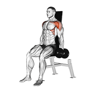 Seated Front Raise