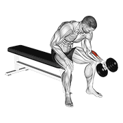 Neutral Dumbbell Wrist Curl