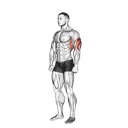 Triceps Stretch