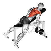 Supinated Incline Dumbbell Row