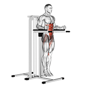 Parallel Bar Leg Raise
