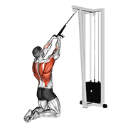 Kneeling High Cable Row
