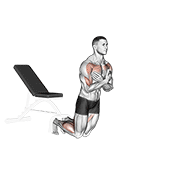 Bench Nordic Curl