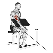 Reverse Cable Preacher Curl