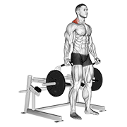 Standing Shrug Machine