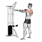 Cable Face Pull