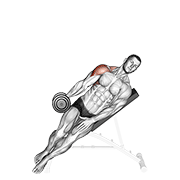 Incline Lateral Raise