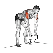 Reverse Cable Fly