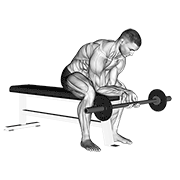 Barbell Forearm Curl