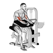 Preacher Curl Machine