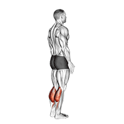 Standing Calf Raise