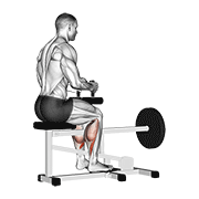 Seated Calf Machine