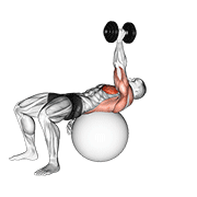 One Arm Stability Ball Pullover