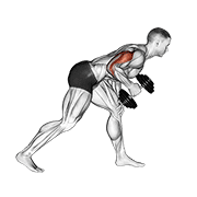One Arm Dumbbell Kickback