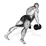 Decline Dumbbell Shrug