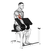 Dumbbell Reverse Spider Curl