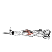 Band Leg Raise