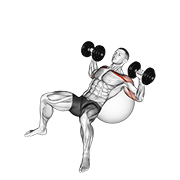 Incline Dumbbell Press